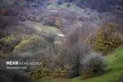 نامه ایران به کنوانسیون تنوع زیستی