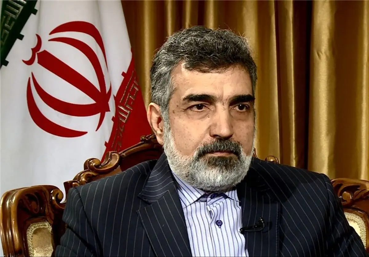 توضیحات کمالوندی درباره رسیدن به ظرفیت غنیسازی پیش از برجام