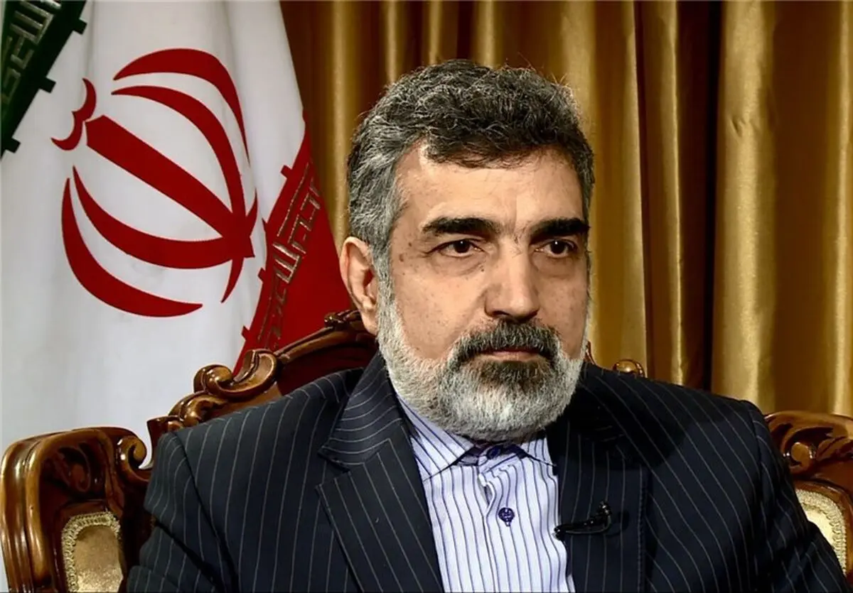 توضیحات کمالوندی درباره رسیدن به ظرفیت غنی‌سازی پیش از برجام 
