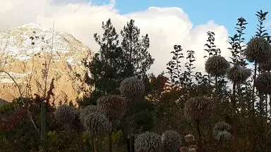 n00379268-r-b-003