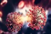 شیوع سویه جدید کرونا در ۵ ایالت آمریکا
