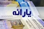 این خانوارها مشمول سبد غذایی رایگان می‌شوند