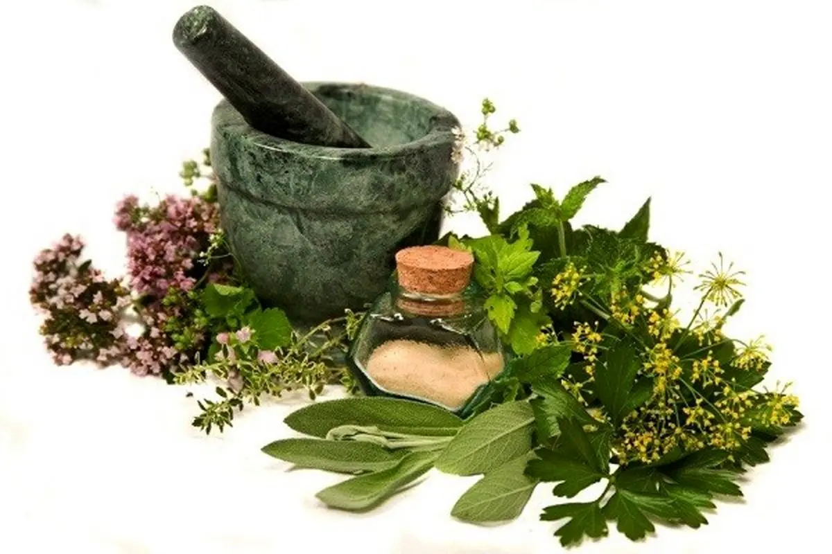 ۱۰ خوراکی طبیعی که دندانهای سالم و دهان خوشبویی را به شما هدیه میدهد