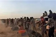 داعش 28 اسیر خود را اعدام کرد