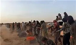 داعش 28 اسیر خود را اعدام کرد