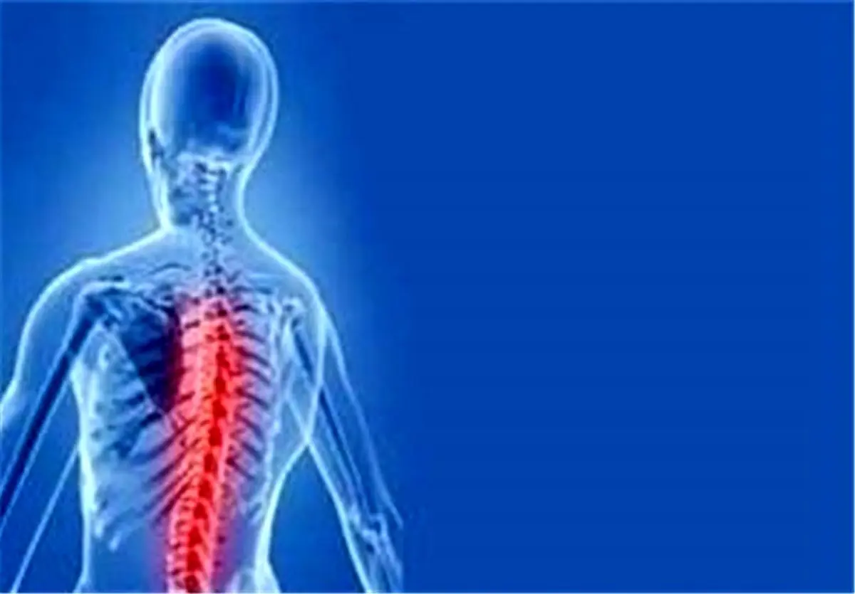 هشدار متخصصان علوم پزشکی نسبت به کمتحرکی در سبک زندگی جدید