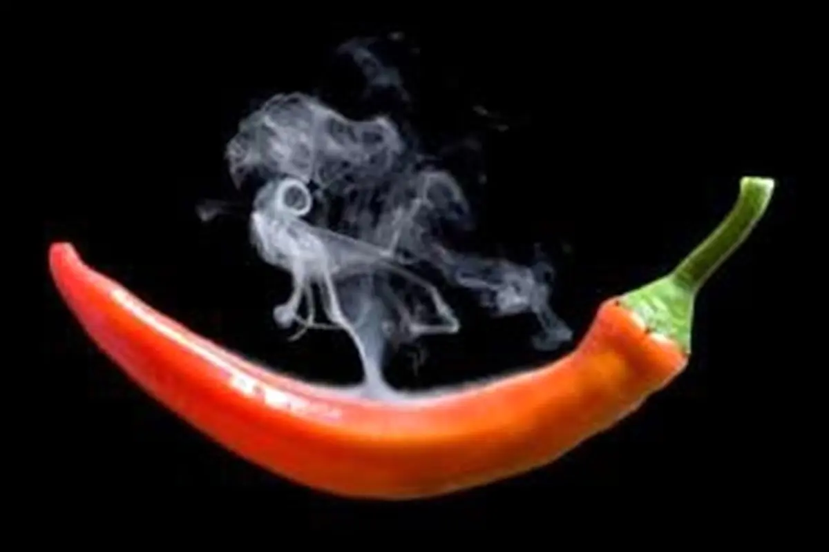 چرا با خوردن فلفل دهانمان می سوزد؟