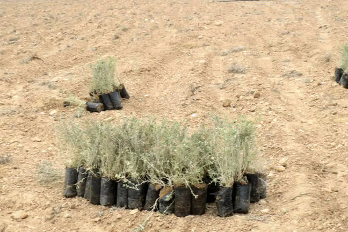 سرانه بیابان در ایران ۲ برابر آمار جهانی
