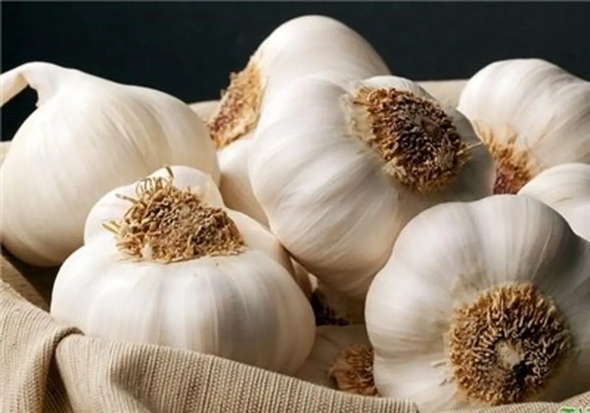 کاهش بروز سرطان با مصرف سیر