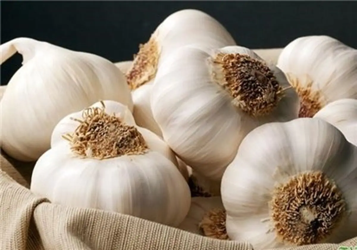 کاهش بروز سرطان با مصرف سیر