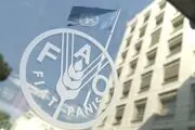 هشدار فائو نسبت به بحران جهانی غذا به‌دلیل جنگ اوکراین