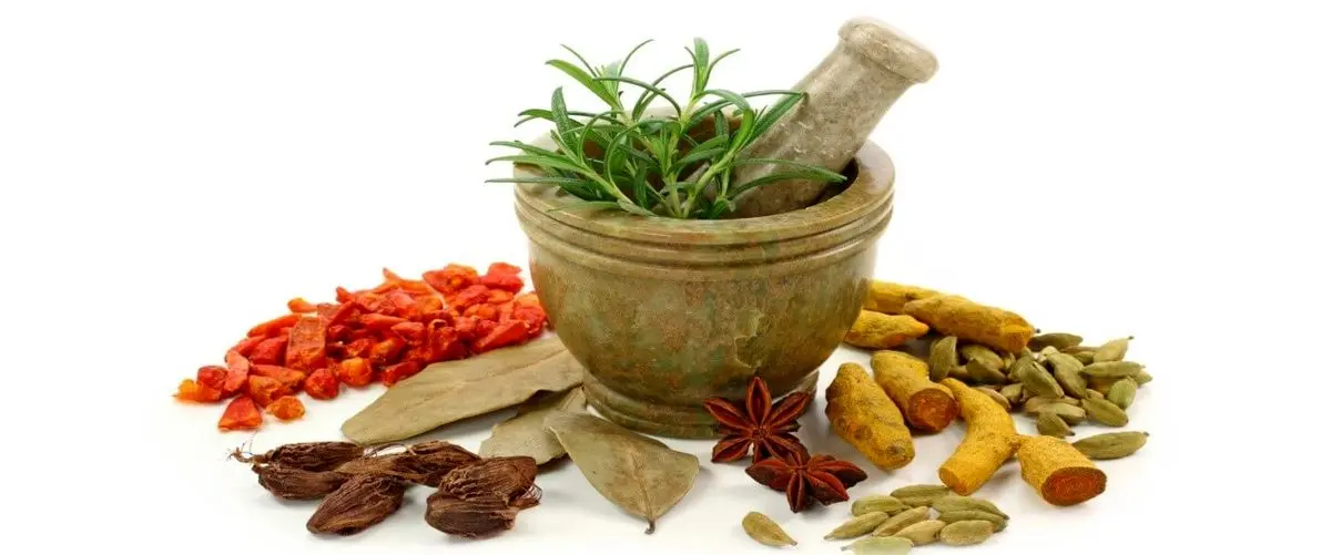 تصفیه خون با 9 سبزی معطر و ادویه