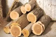 صنایع چوب تنها با 50 درصد ظرفیت فعال هستند!