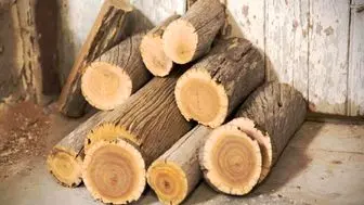صنایع چوب تنها با 50 درصد ظرفیت فعال هستند!