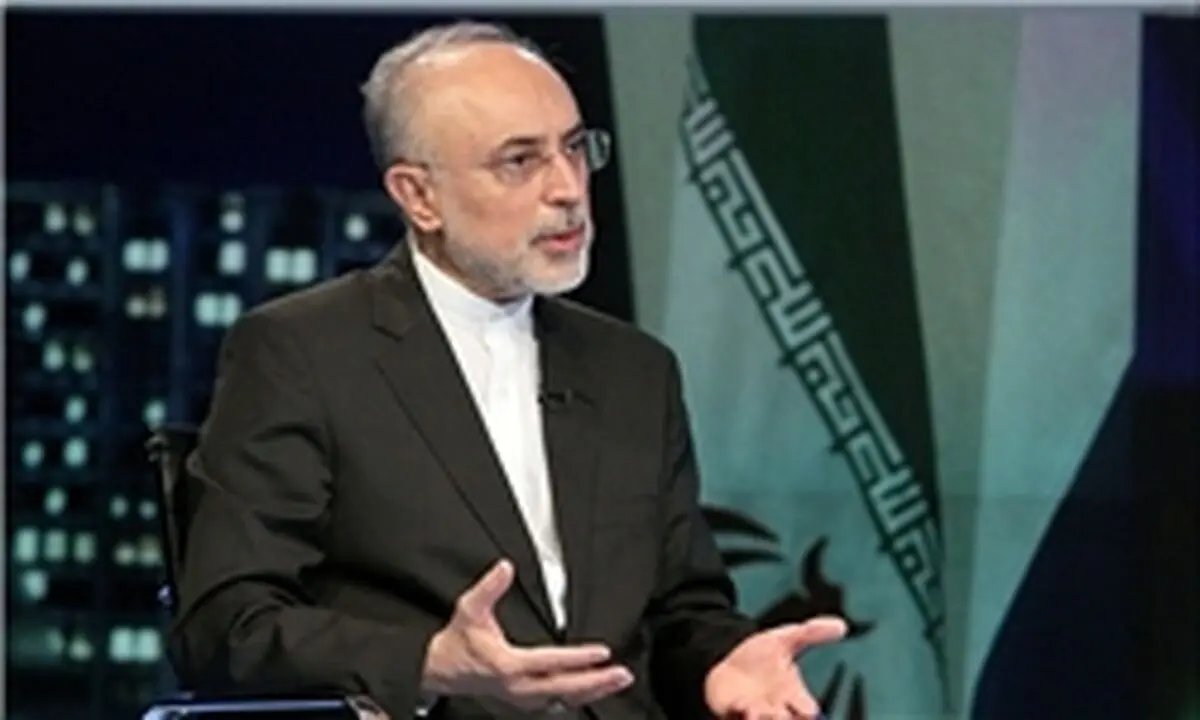 صالحی: ایران توافق محرمانه ای با غرب نداشته است