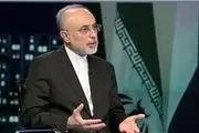 صالحی: ایران توافق محرمانه ای با غرب نداشته است