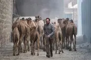 اهمیت بالای طراحی لباس‌ها در فیلم سینمایی «روز بلوا»