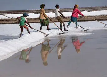 استخراج نمک
