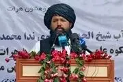 طالبان: درجه علمی مجاهدین از مین‌هایی که کار گذاشته‌اند محاسبه شود!