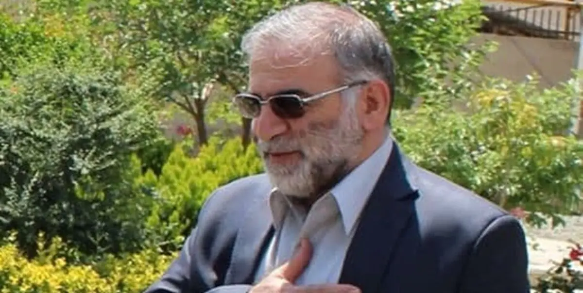 استاد دانشگاه ژنو: ترور فخری‌زاده یک جرم دولتی است+فیلم