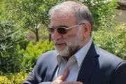 نامگذاری خیابانی در تهران به نام شهید فخری زاده