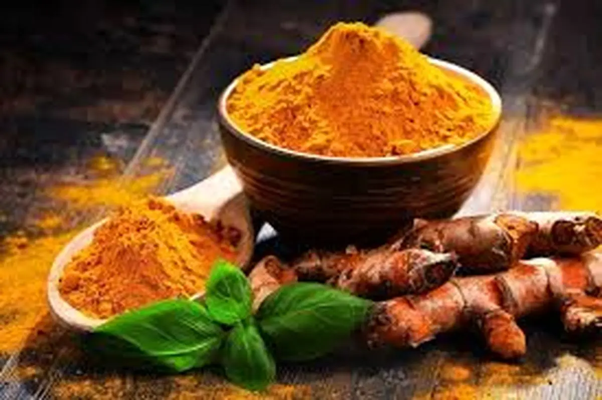 این مواد غذایی مغز ما را زنده نگه می‌دارند