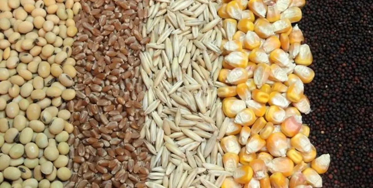 تسهیل و تسریع در ترخیص کالاهای اساسی و نهاده های تولید