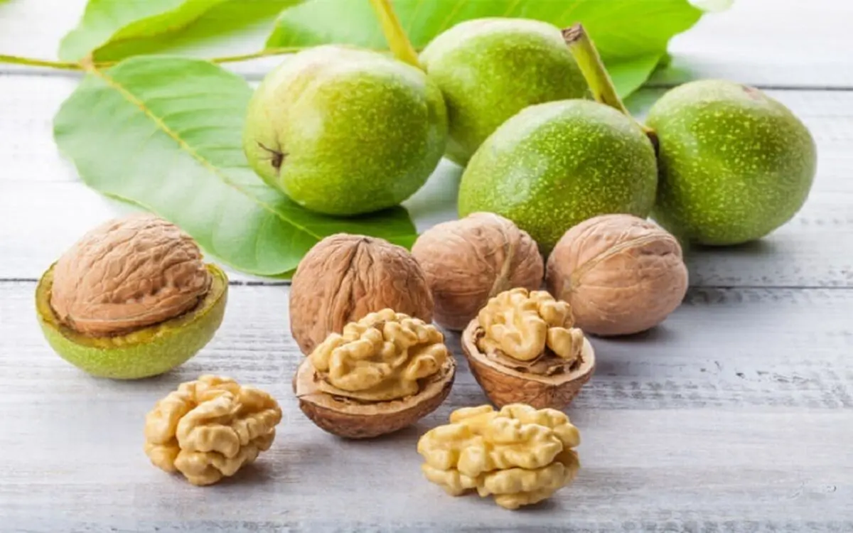 غذا‌های غنی از آرژینین را بشناسید