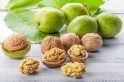 غذا‌های غنی از آرژینین را بشناسید