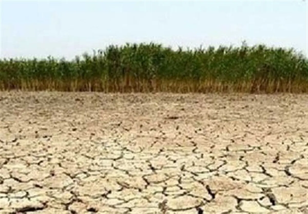 تصویب کلیات «لایحه حفاظت، احیاء و مدیریت تالابهای کشور»