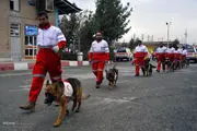 اعزام ۱۶ تیم نجات به مناطق سیل زده تهران