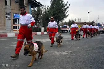 اعزام ۱۶ تیم نجات به مناطق سیل زده تهران