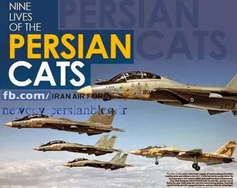 گربه‌های ایرانی همچنان آماده رزم