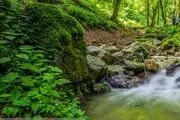  سمفونی رنگ‌ها در خلخال/ گزارش تصویری