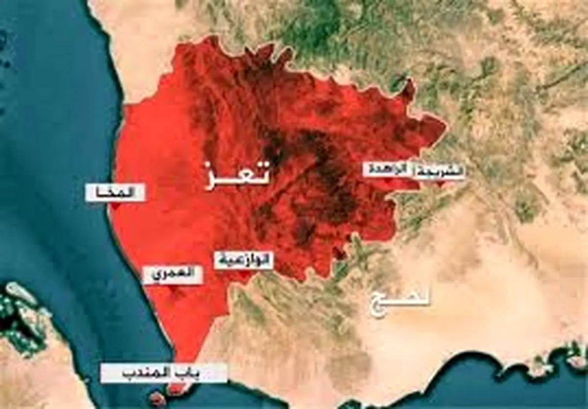 دهها مزدور سعودی در تعز به هلاکت رسیدند