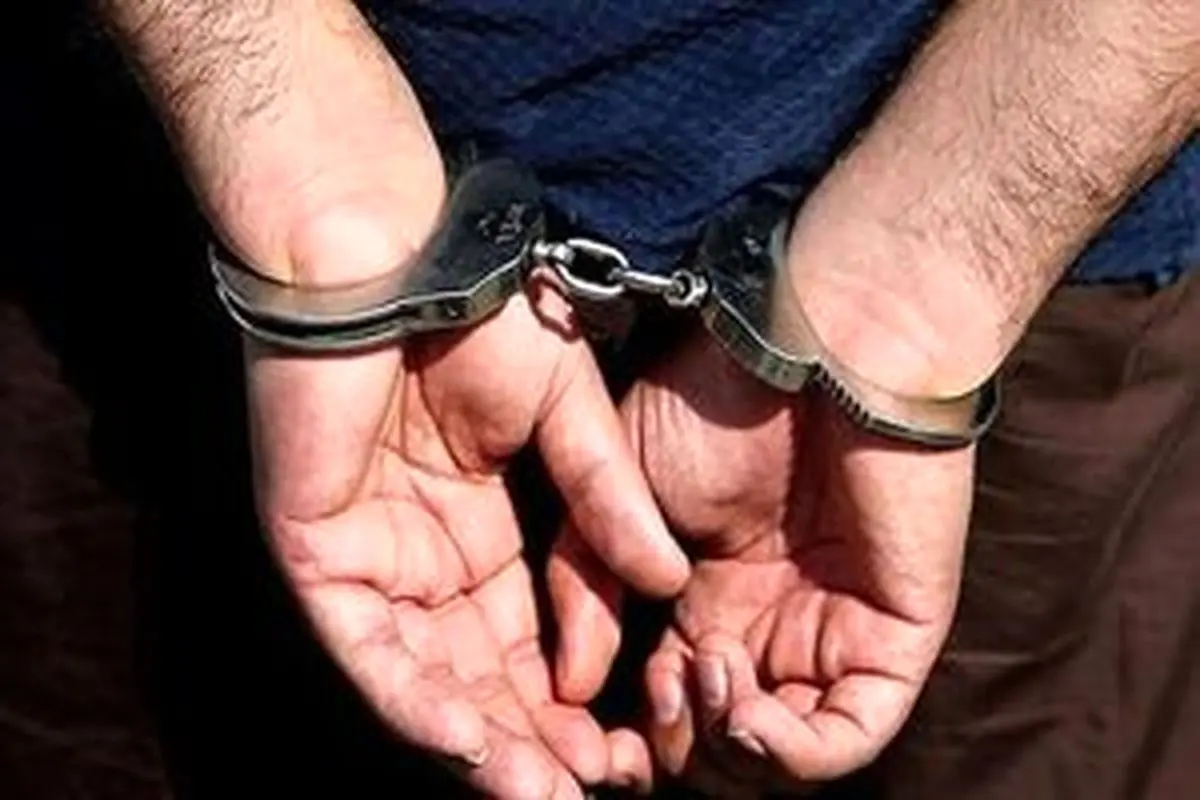 بازداشت ۲۳۷ عربده کش و زورگیر در پایتخت