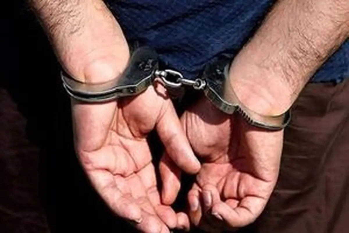 بازداشت ۲۳۷ عربده کش و زورگیر در پایتخت