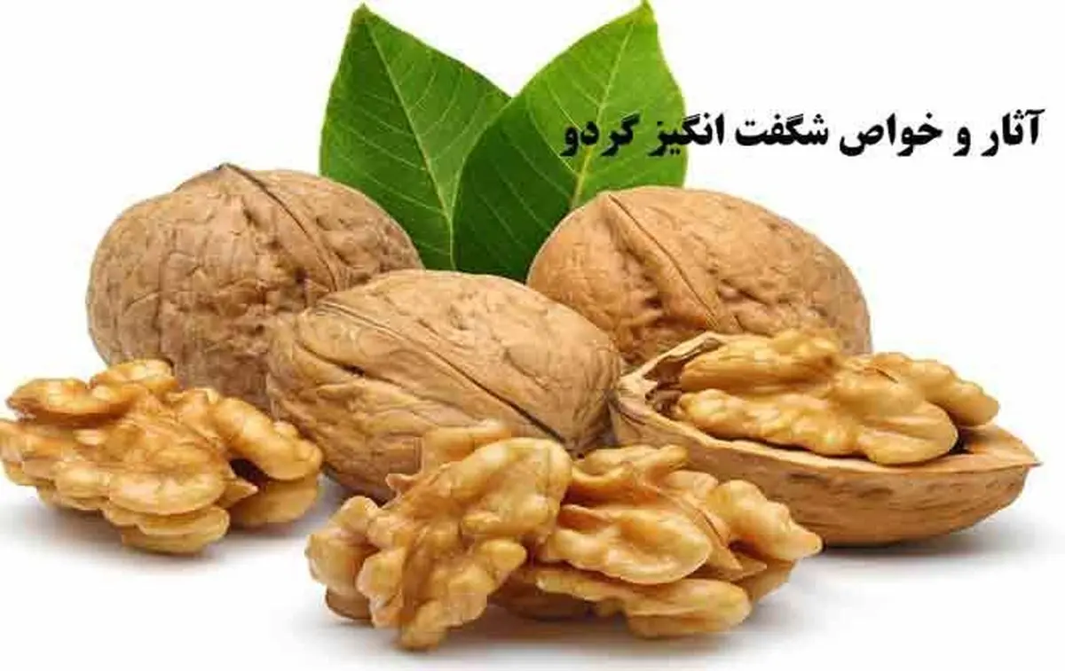 خواص گردو برای مغز و سلامتی بدن انسان