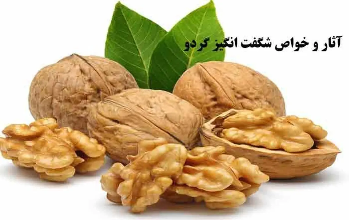 خواص گردو برای مغز و سلامتی بدن انسان
