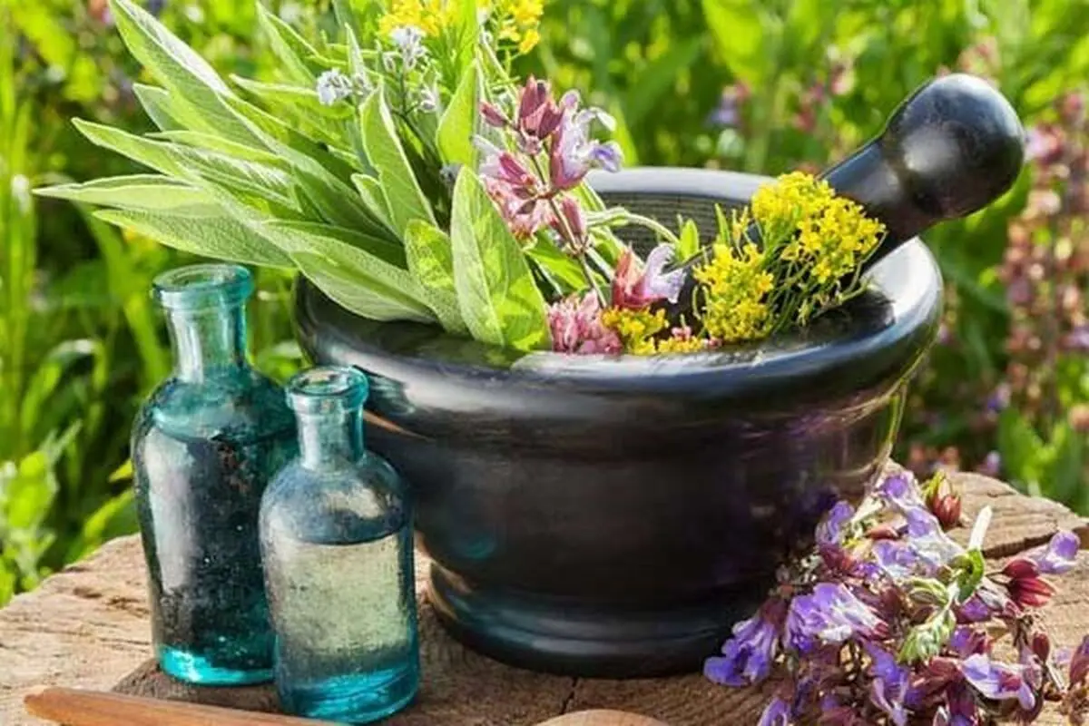 باورهای غلط در مورد مصرف داروهای گیاهی