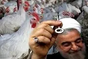 بی تدبیری دولت در قول 10 روزه به مرغداران