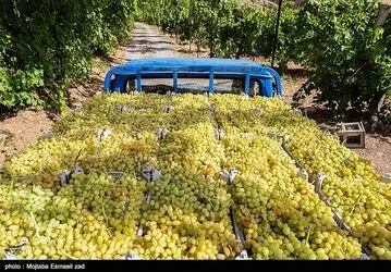 image10
