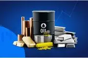 کامودیتی چیست و انواع آن کدامند؟