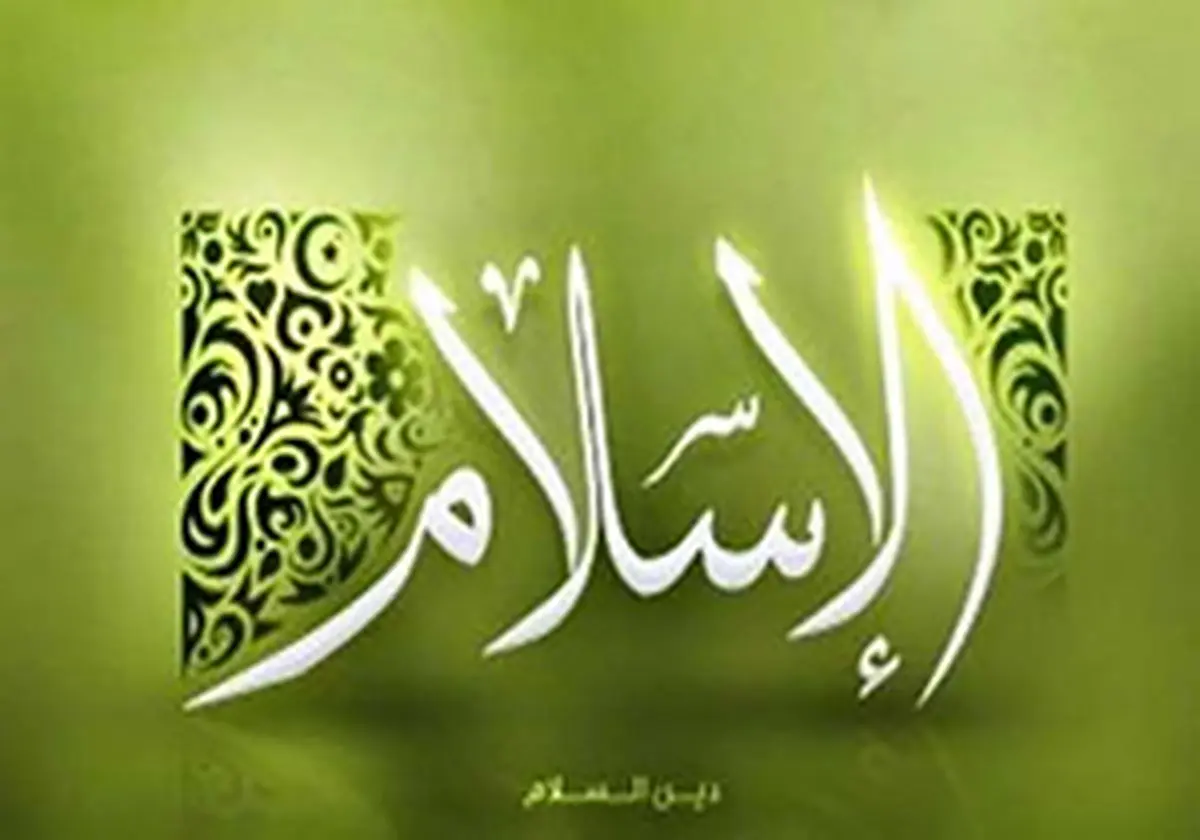 بازداشت یک فرانسوی به جرم توهین به اسلام