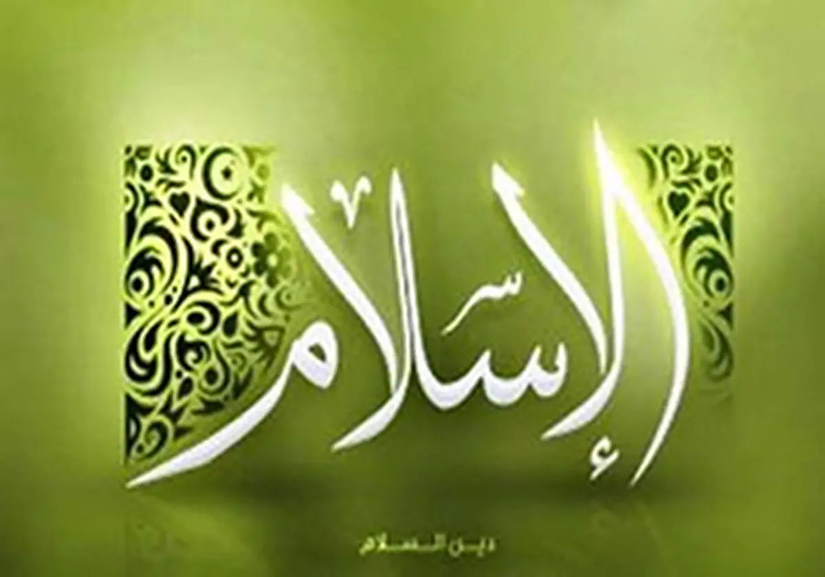 بازداشت یک فرانسوی به جرم توهین به اسلام 