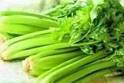 اجرای طرح «استحصال مواد موثره کرفس کوهی» در چهارمحال و بختیاری
