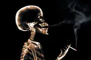 آخرین آمار تلفات ناشی از استعمال دخانیات