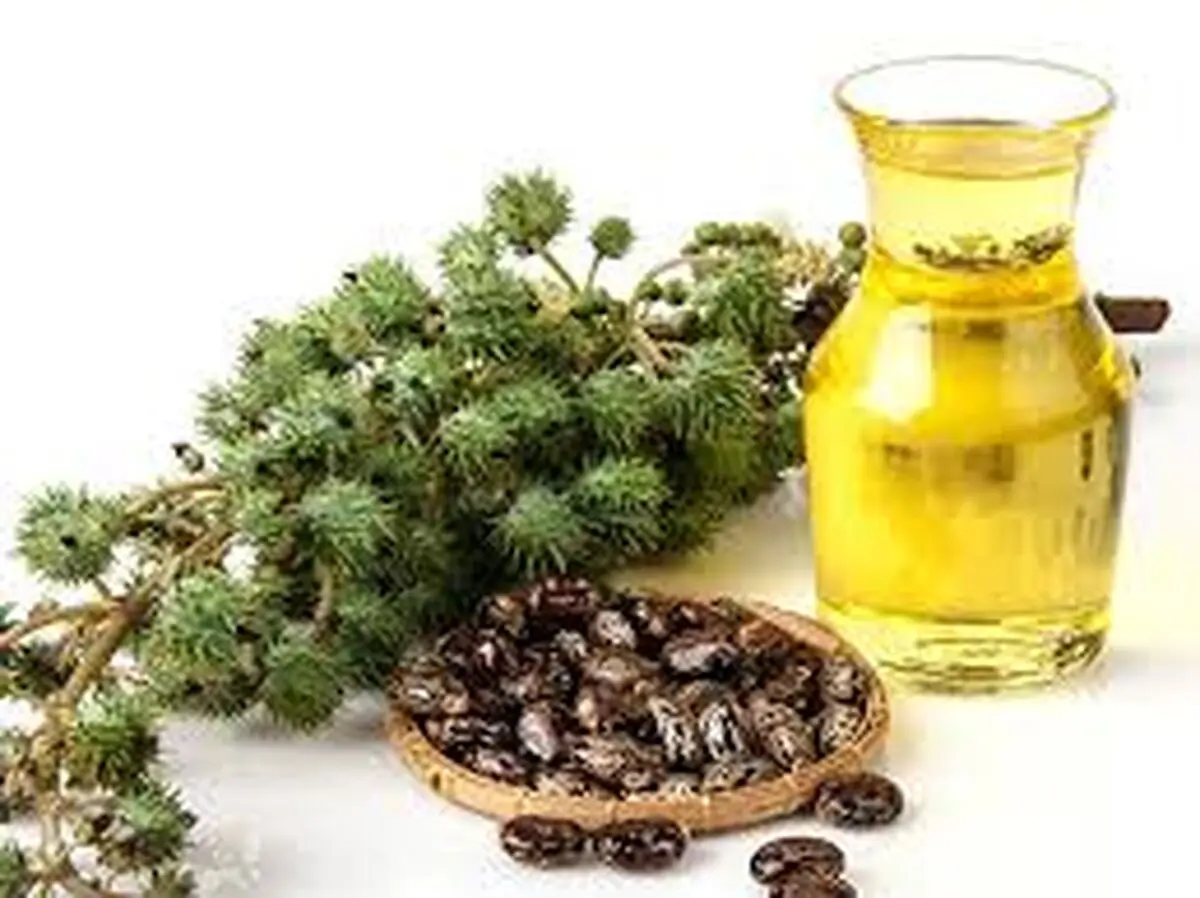  معجزه روغن گرچک برای نازکی مو 