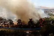 کمک سربازان به خاموش کردن آتش سوزی ارتفاعات تهران