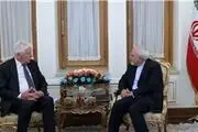 دیدار وزیر مشاور در امور دولت هلند با ظریف